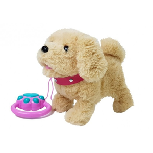 سگ کنترلی سخنگو و موزیکال قهوه ای Pet Play Set Toys_اسباب بازی